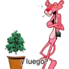 Modo feliz  5