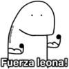 🌈Flork Mix 19🧦 17