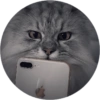 Los robé de un tiktok 🤫 28