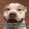 No te tengo rencor ni nada, pero no te me vuelvas a acercar