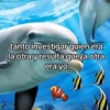 🦄🐬 Symphony Memes 1🐬🦄 26