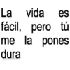 🚨🔥Frases 🤣🚨 13