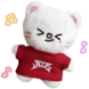 SKZOO ATE EMOTICON 1 13