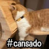 #cansado