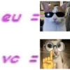 Gatinhos  18