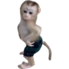 🐒🐹 Animales Graciosos 🐶🐈 16