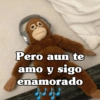 Pero aun te amo y sigo enamorado