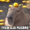 IYAIN AJA MASBRO