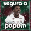 Gols fluminense 2026 14
