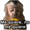 @paraguayita 01 Me quiere, no me quiere