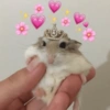 Bichinhos Fofos Cute 💕 5