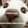 Novidades da semana  7