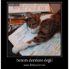 PERIL benim derslere değil sana ihtiyacim var -- and MOODUMPAT