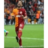 Galatasaray Çıkartmalarım 21