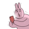 Pink rabbit 6