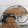 Cukurukuk Bakekok Meme 6