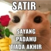 Meme Salting Lucu 7