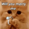 Will you marry me