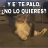 Y E' TE PALO, ¿NO LO QUIERES?