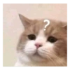 Memes engraçados de gatos 30