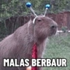 MALAS BERBAUR