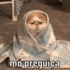 MODO PREGUIÇA 😴 8