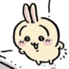 Usagi 12