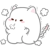 Kucing gemoy 11