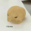 I Grump