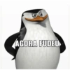 Pinguins de madagascar🐧 10