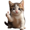 MEME KUCING 5