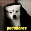 Memes gatos e cachorros 8