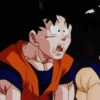 Goku  30