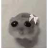 Tu gran hamsters  9