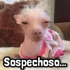 💬 Más Reacciones! #11 💬 5