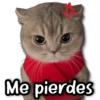 Me pierdes