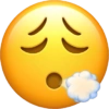 IPhone emojis  5