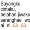 Sayangku, cintaku, belahan jiwaku saranghae wo ai ni M