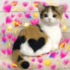 Cute stickers 11