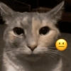 Emoji 🤌😊 8