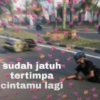 MEME SALTING 11