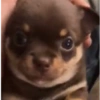 Ariana what are you doing here  8