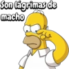 Los Simpson - Mejorados 2/6 🇦🇷 21