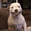 🙂 MI HUMILDE REACCIÓN 🙂 2