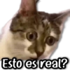Esto es real?
