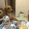 já tá bebendo marcia? sua Jum.