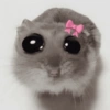 ANIMALITOS 🌟🥹 6