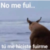 😎 STICKERS SHITPOST 12 🤙 12