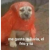 😎 STICKERS SHITPOST 12 🤙 9