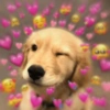 💕 PERROS Y GATITOS AMOROSOS 💕 13